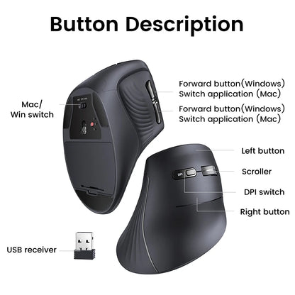 Wireless Ergonomic Vertical Mouse – Bluetooth 5.0 & 2.4G, 4000DPI, Silent Click